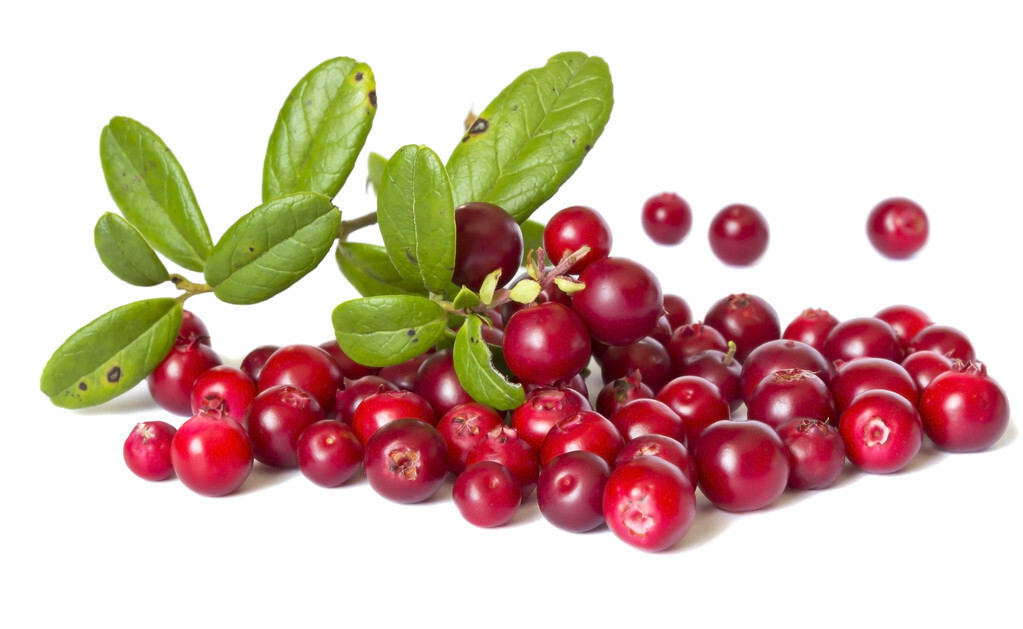 蔓越莓有哪些功效和作用？